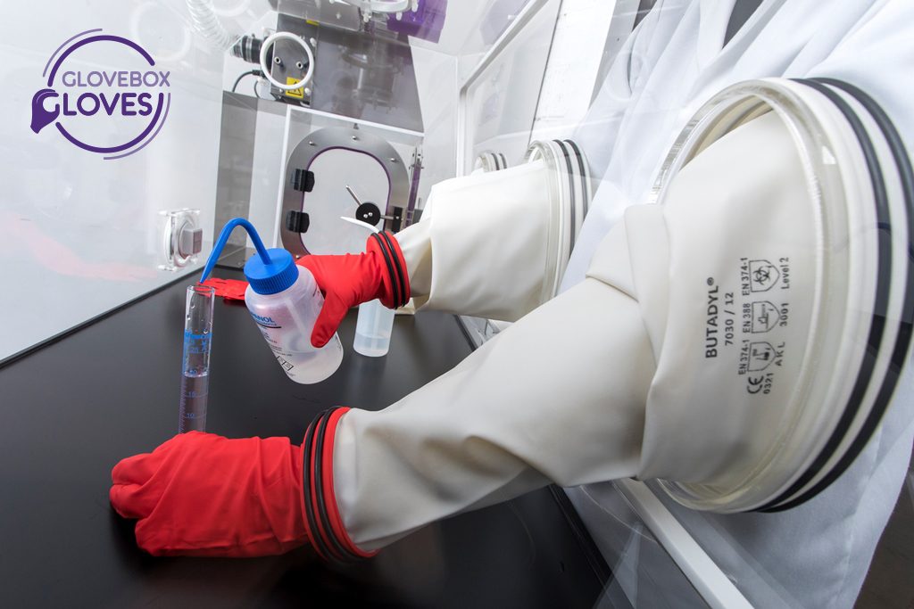 Gauntlet gloves inside a laboratory isolator